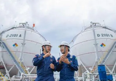 Industri Petrokimia
